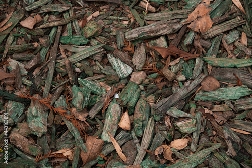 bosque madera y piedras fondo textura para anuncios