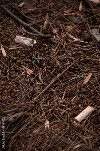 cigarrillos contaminando bosque fondo textura para anuncios