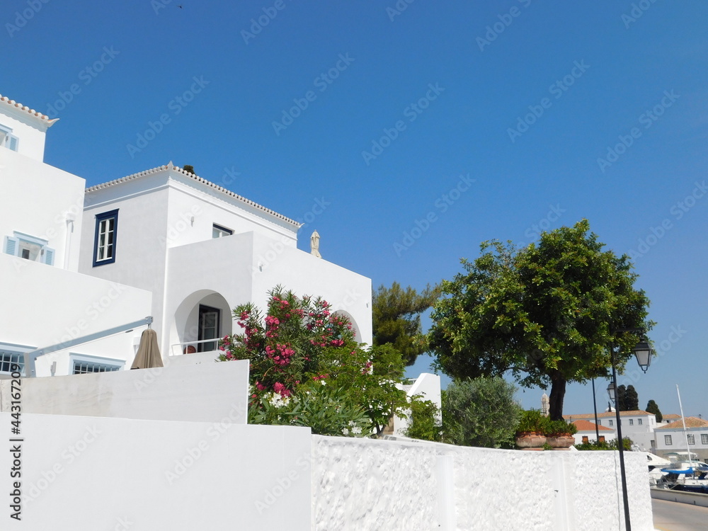 Fototapeta premium Gardens and traditional houses, on the island of Spetses, in Greece