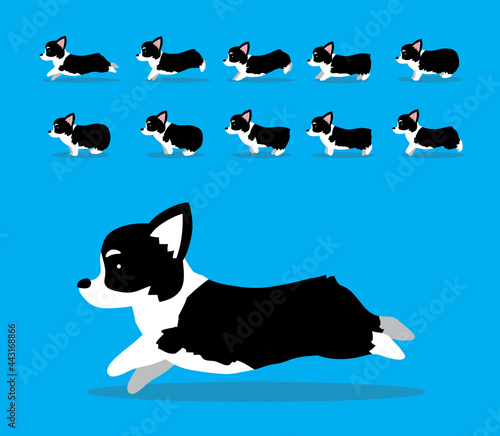 Animal Animation Sequence Dog Pembroke Welsh Corgi Cartoon Vector Black Coat