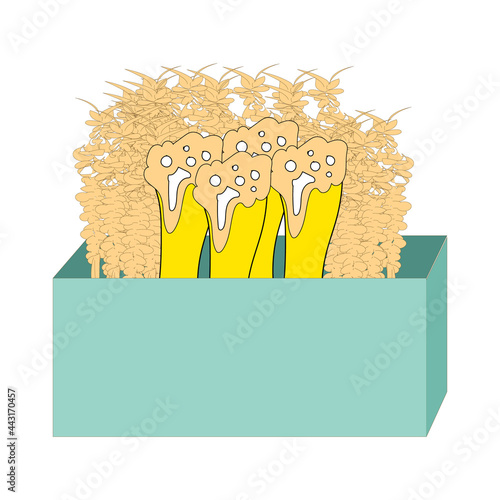 Beer or liquor vector design, alcoholic drink