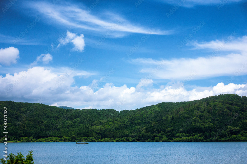 滋賀県長浜市の余呉湖の初夏の風景です 滋賀県長浜市の余呉湖の初夏の風景です
