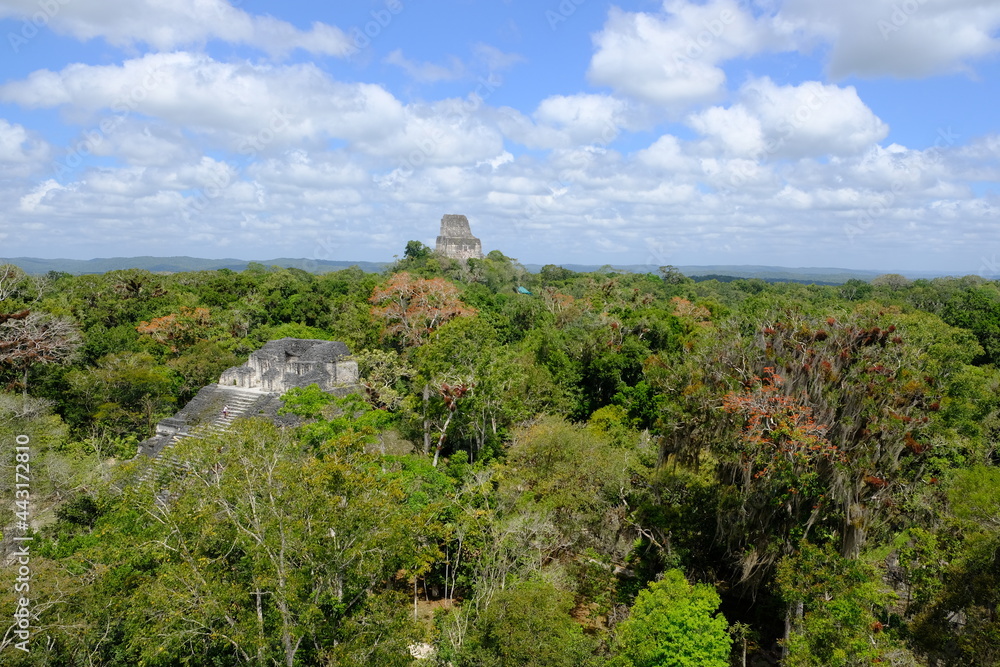 Guatemala Tikal National Park - Aerial view from Temple IV Pyramid