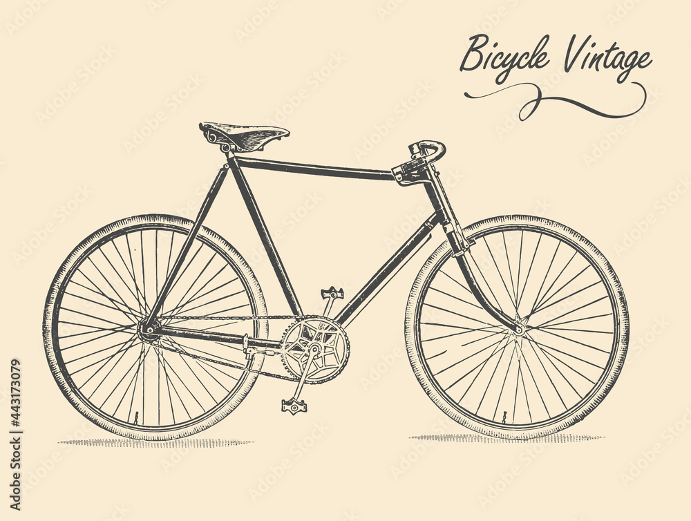 Fototapeta premium Old classic vintage bicycle. Vector