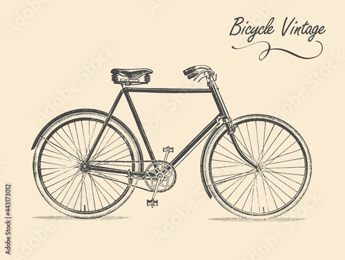 Old classic vintage bicycle. Vector