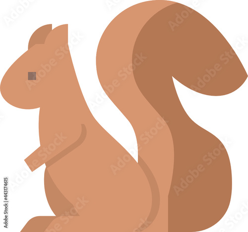 squirrel flat icon