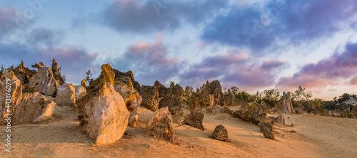 Panorama of the Pinnacles desert of Nambung National Park Western Australia Australia photo