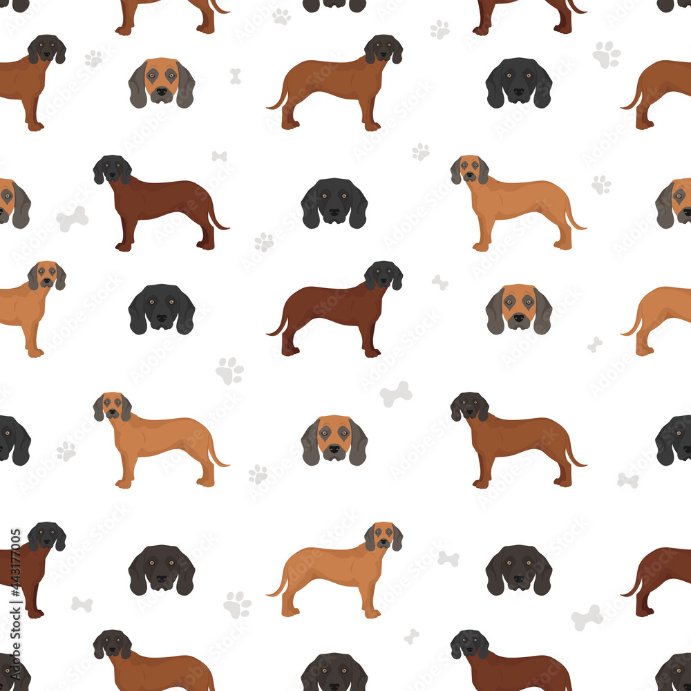 Bavarian mountain scent hound seamless  pattern. Different coat colors and poses set