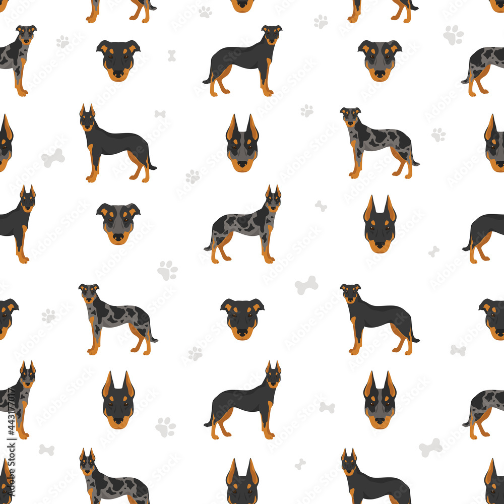 Beauceron seamless pattern. Different coat colors and poses set