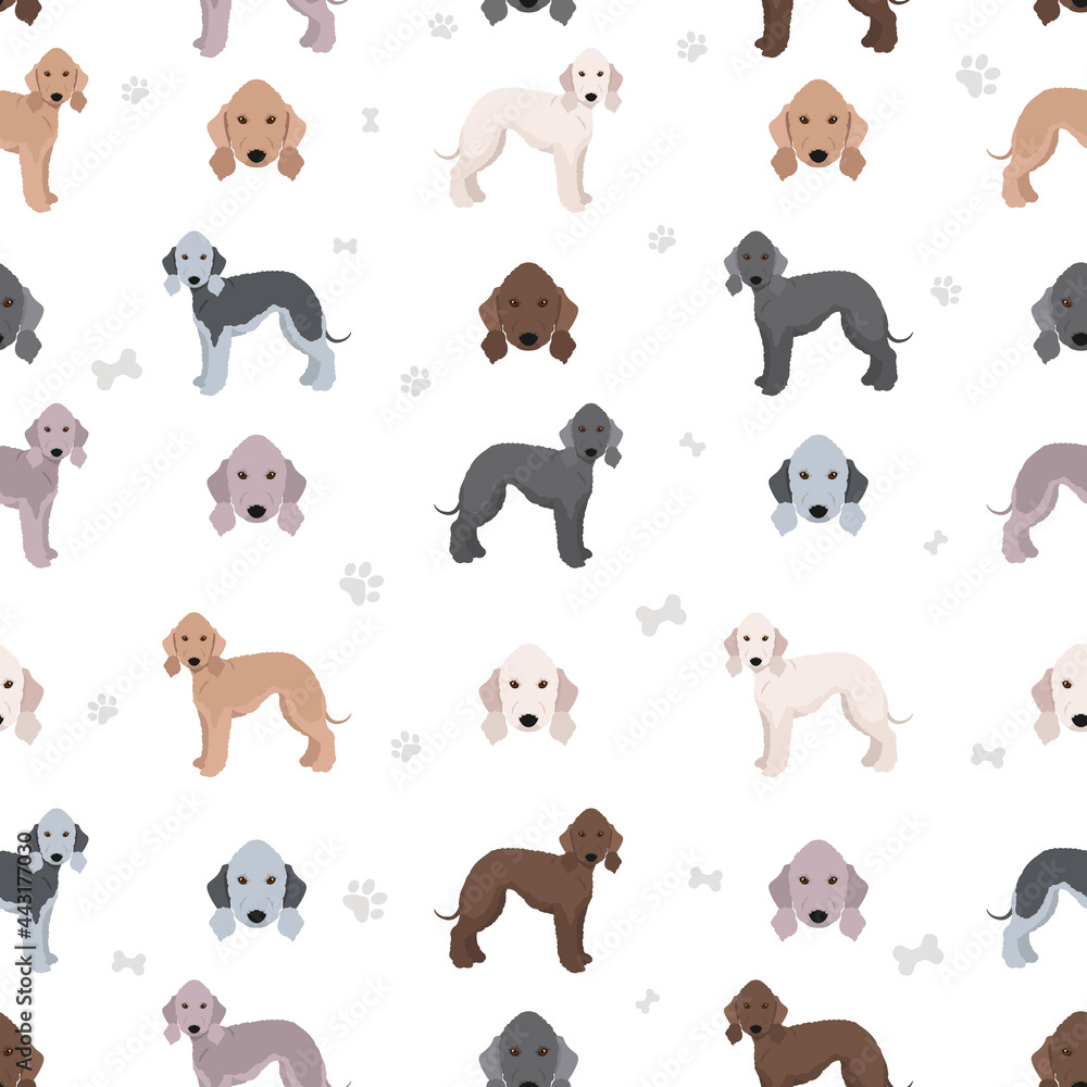 Bedlington terrier clipart. Different coat colors and poses set Stock