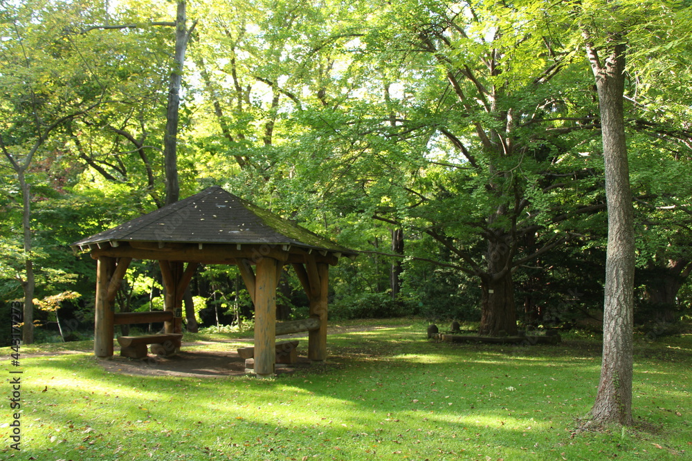 植物園の東屋 植物園の東屋