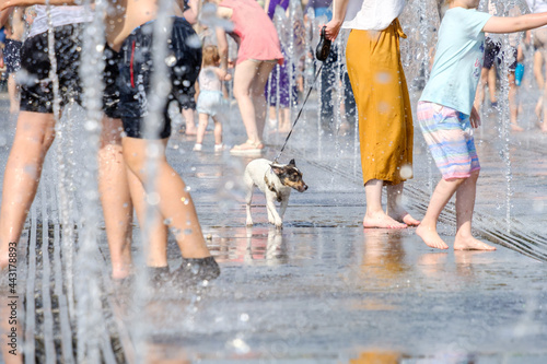 Selective focus on dog Jack Russell on a leash between jets and splashes of water in a fountain and human legs. People and animals have fun and escape the heat in the city.