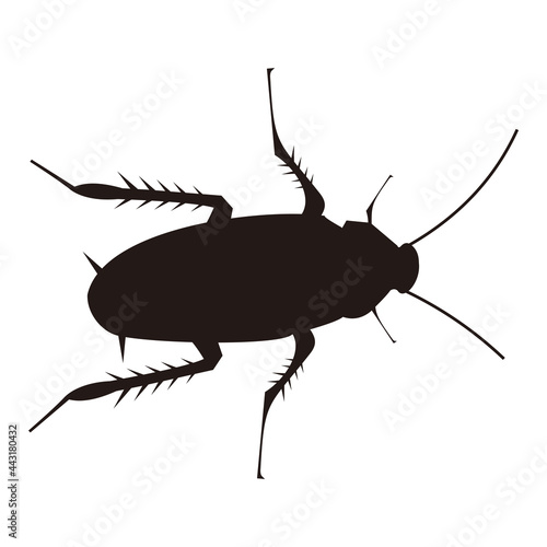 cockroach icon vector illustration sign