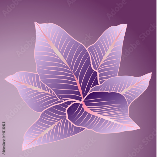 Beautiful pattern of abstract leaves. Modern vintage hand drown style. Concept for background, wallpaper, fabric, textiles, mobile phone, background for your business.vector Illustration 