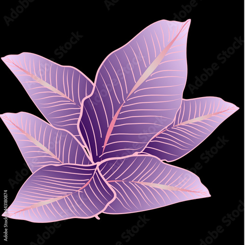 Beautiful pattern of abstract leaves. Modern vintage hand drown style. Concept for background, wallpaper, fabric, textiles, mobile phone, background for your business.
