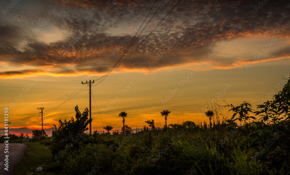 Fototapeta premium Beautiful sunset