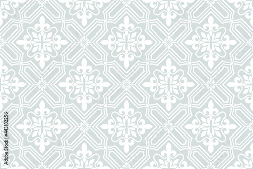 Abstract floral seamless pattern. with Vintage elements. Gray and white. Vector background.