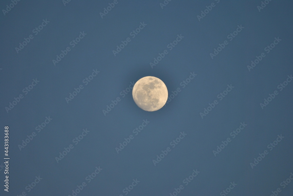 Obraz premium full moon over the sky