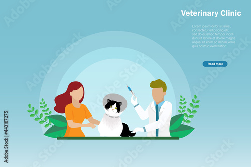 Animal hospital, veterinary clinic or cat and dog vaccination concept. Veterinarian doctor holding syringe with collar cone cat and woman owner. 