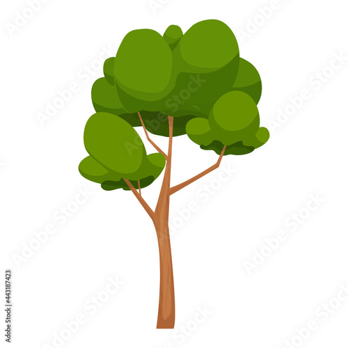 Forest comic tree, detailed and textured in cartoon style isolated on white background. Tall and bid with trunk and foliage.