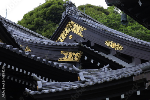 日本　鎌倉　長谷寺