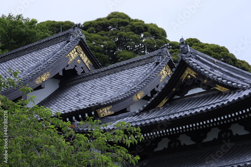 日本 鎌倉 長谷寺