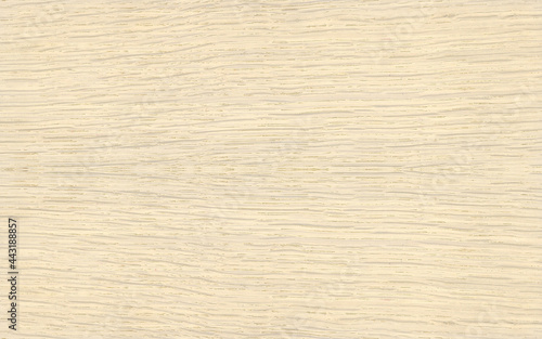 Open grain quarter cut bleached oak wood texture