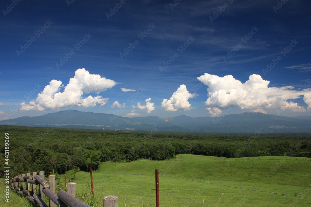 北軽井沢の夏。浅間牧場の風景。放牧場の向こうに見える信州の山と、白い雲、青い空。
