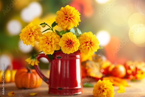 Autumn floral still life with beautiful yellow dahlia in vintage red jug and ...