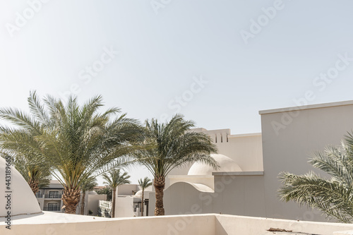 Tropical palm tree with lush green leaves near white house, resort building with blue sky background. Travel, summer vacation concept