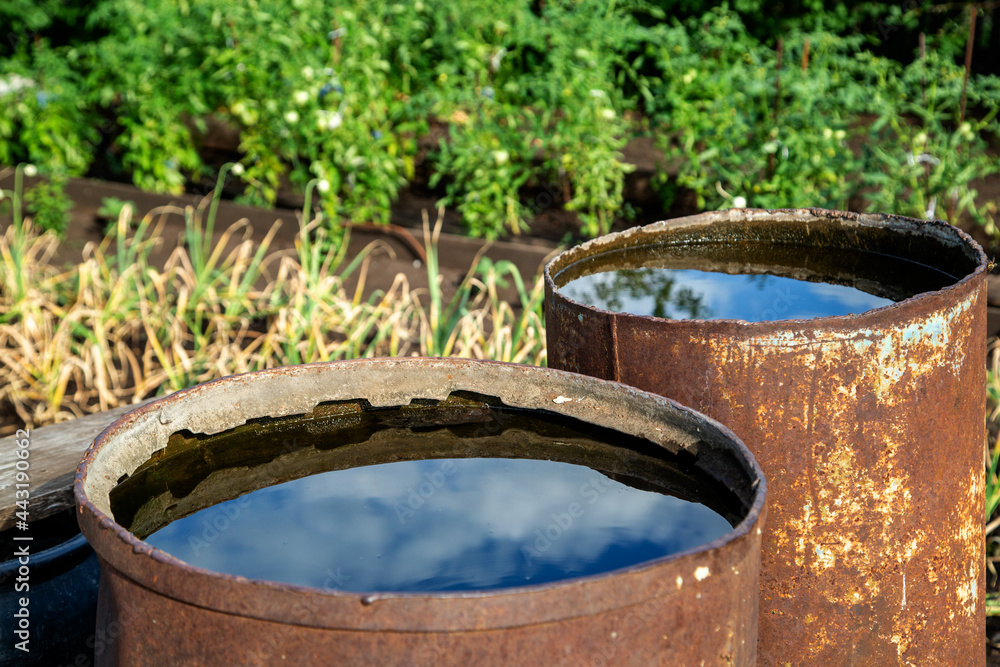 old iron barrels for storing water in the garden
