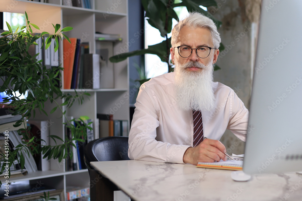 Senior businessman with a stylish beard working on computer at his office desk. Senior businessman with a stylish beard working on computer at his office desk.
