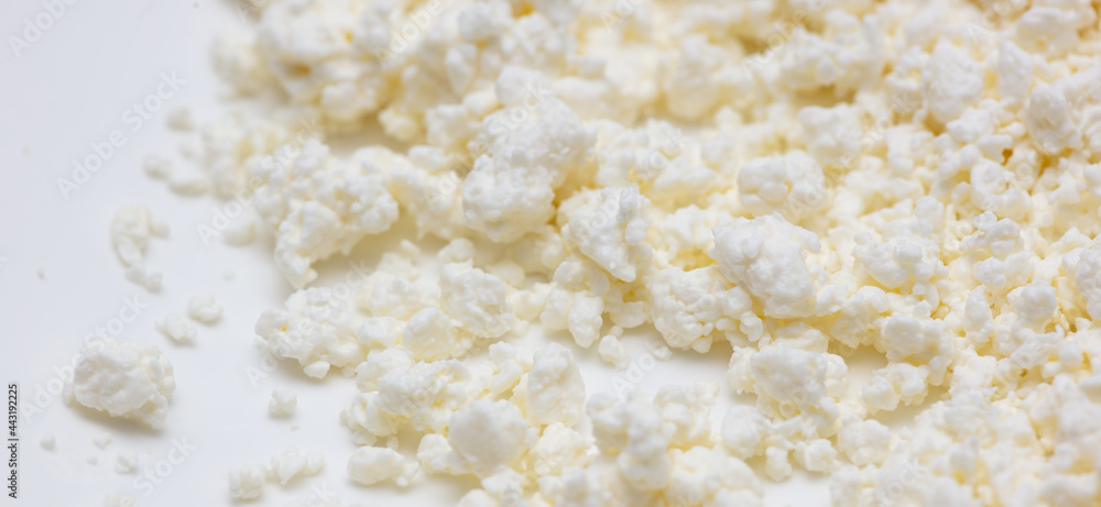 Fresh milk curd as background. Fresh milk curd as background.