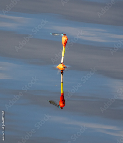 Fisherman's float on the water. © schankz