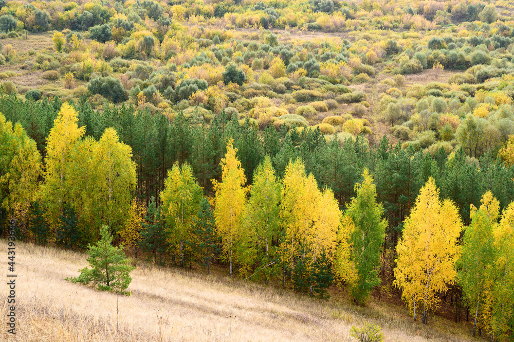 Picturesque autumn landscape. Panoramic view of colorful green, orange and yellow trees on the hillside.