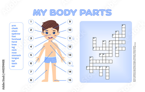 Crossword puzzle and cartoon brunette boy for studying anatomy and biology, for kids. Page from workbook for exercises with children. Template and blank. Flat color style. White background. Vector.