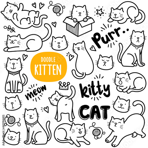 Cute Cat Doodle Illustration