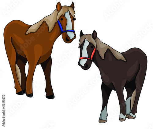 Vector simple illustration, cute colorful horse character set