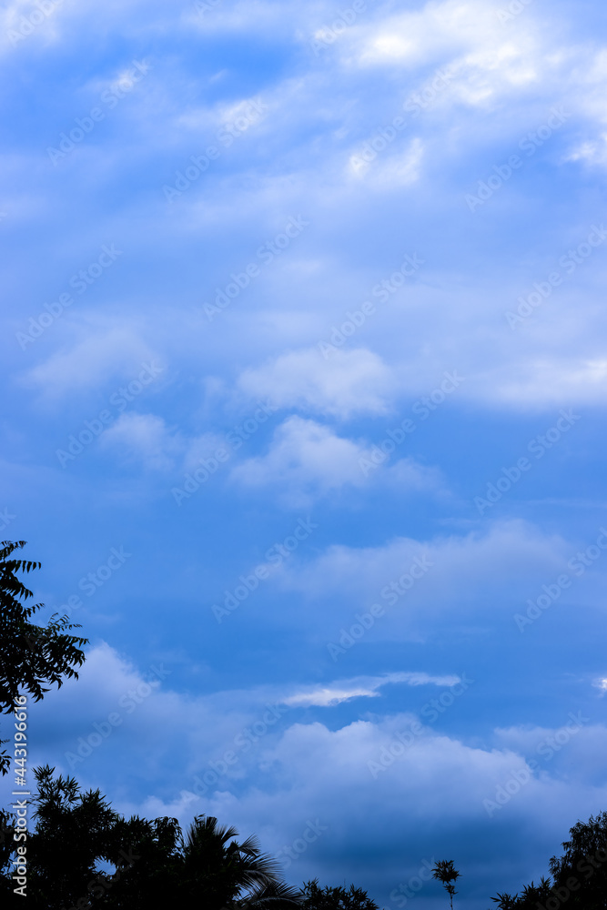 Sunny sky with clouds above the forest vertical view before the evening Sunny sky with clouds above the forest vertical view before the evening