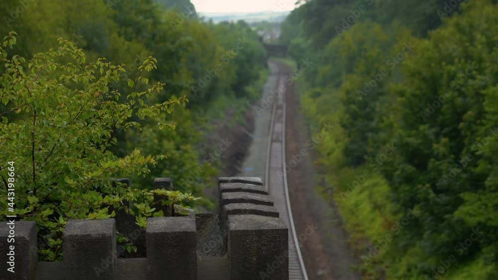 An old train track going through a thick woodland area An old train track going through a thick woodland area