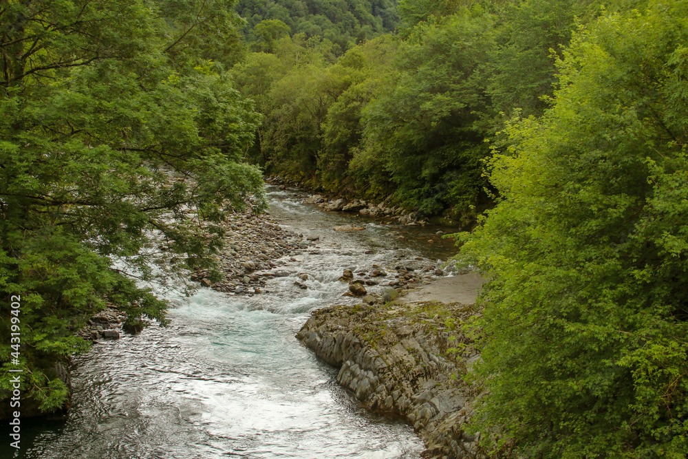 Río Aspe en la cara norte de los Pirineos, Francia. Un bonito y espeso bosque que cubre las orillas del río que da nombre al valle. Río Aspe en la cara norte de los Pirineos, Francia. Un bonito y espeso bosque que cubre las orillas del río que da nombre al valle.