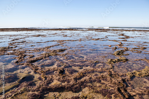 A view over the seaside at Witsand holiday resort. photo