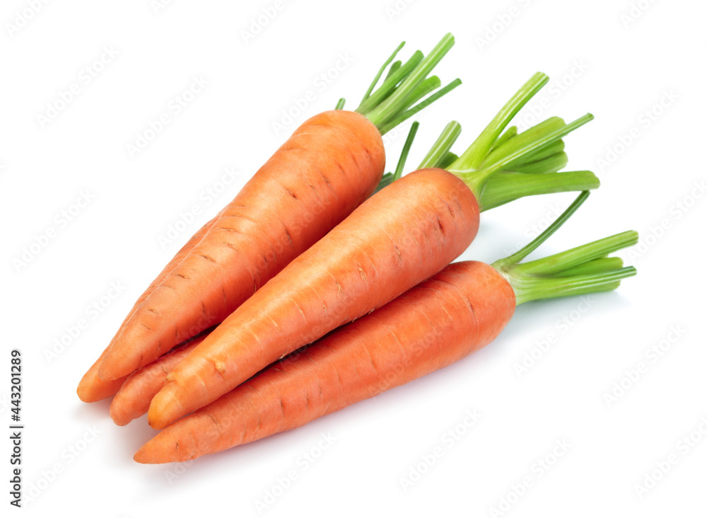 bunch of carrots isolated on white background bunch of carrots isolated on white background