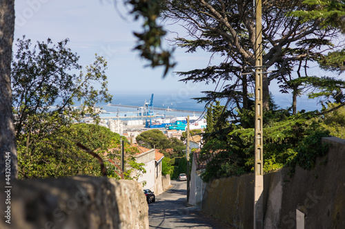 Vue du port de Sète depuis le Mont Saint-Clair (Occitanie, France)