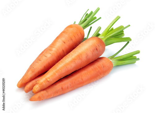 bunch of carrots isolated on white background