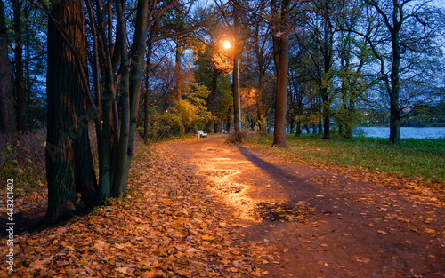 Parks in St. Petersburg  Russia.