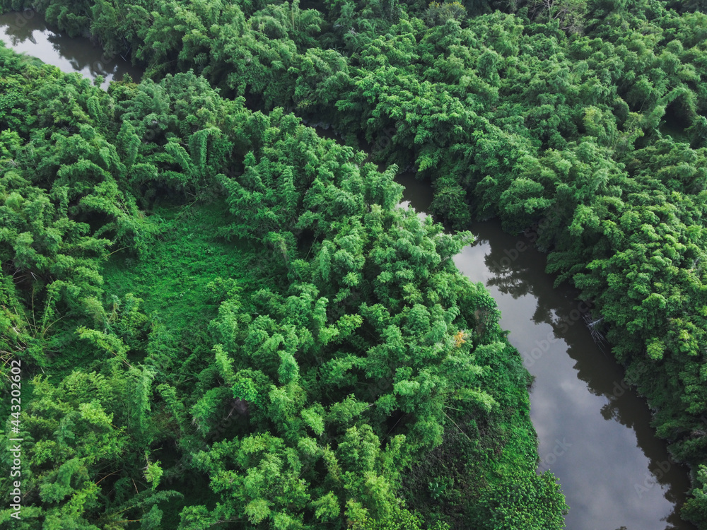 Aerial top view of green forest nature,  green summer forest and River, river flowing in the forest.