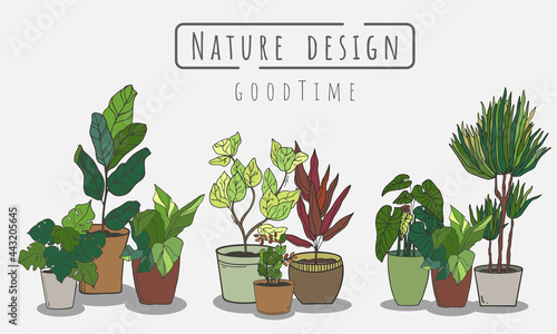 Potted plants Set, Indoor and outdoor landscape garden potted plants isolated on white, Vector set green plant in the pot.