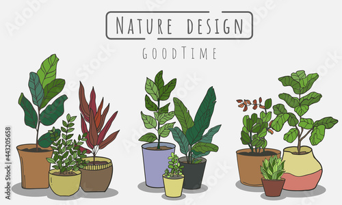 Potted plants Set, Indoor and outdoor landscape garden potted plants isolated on white, Vector set green plant in the pot.