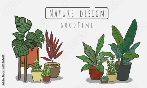 Potted plants Set, Indoor and outdoor landscape garden potted plants isolated on white, Vector set green plant in the pot.